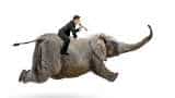 Proud moment! 'This elephant has started to run' Proud moment! 'This elephant has started to run'