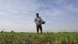 Maharashtra farmers get this big game-changer benefit now Maharashtra farmers get this big game-changer benefit now