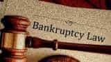 Insolvency and Bankruptcy Code updates: Soon, IBC in border areas, new law for registered valuers?  