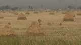Land acquisition proposal: Road developers cautious as going may get tougher Land acquisition proposal: Road developers cautious as going may get tougher