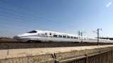 This Bullet Train station to be unique, set to be themed around a tree This Bullet Train station to be unique, set to be themed around a tree