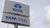 Thyssenkrupp to keep on implementing steel JV with Tata: CEO