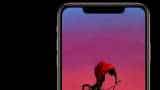 Apple iPhone XS Max beats iPhone XS in early sales: Report