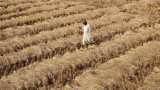 Maharashtra agri task force urges Arun Jaitley for bailout package for farmers Maharashtra agri task force urges Arun Jaitley for bailout package for farmers