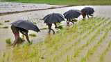  Deficit rainfall in northeastern India, crop production could fall
