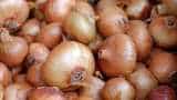 Onion prices 'moderate marginally' in Delhi: Govt