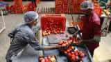 BigBasket to raise funds of up to $200 mn after clocking Rs 2,000 cr revenue in current fiscal BigBasket to raise funds of up to $200 mn after clocking Rs 2,000 cr revenue in current fiscal