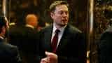 Love your job? Tesla chief Elon Musk says change the world, work 100 HOURS a week, reveals formula; flags exponential pain