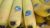 Punjab prohibits stickers on fruits, vegetables