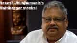 Four stocks where Rakesh Jhunjhunwala holds half his wealth; did you invest in them? They are multibaggers going forward Four stocks where Rakesh Jhunjhunwala holds half his wealth; did you invest in them? They are multibaggers going forward
