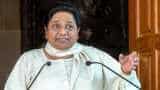 Madhya Pradesh assembly election: Boost for Congress, Mayawati pledges support