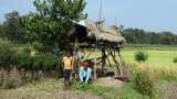 Rs 4000 per acre per season! Report claims this Modi govt move to finally bring 'Achche Din' for farmers Rs 4000 per acre per season! Report claims this Modi govt move to finally bring 'Achche Din' for farmers