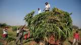 Not Universal Basic Income, SBI report says just transfer cash to farmers
