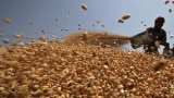 Wheat production may cross record 100 MT in 2018-19