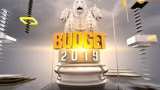 Budget 2019: Piyush Goyal woos middle class with tax breaks, farmers with sops Budget 2019: Piyush Goyal woos middle class with tax breaks, farmers with sops