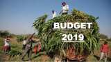 Budget 2019: Ache-din to dawn for farmers? Income to soar! Yes or No? Power points to know Budget 2019: Ache-din to dawn for farmers? Income to soar! Yes or No? Power points to know