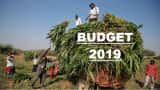 Budget 2019: Ache-din to dawn for farmers? Income to soar! Yes or No? Power points to know