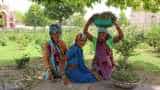 Budget 2019: Piyush Goyal announces allotment of Rs 60,000 crore in MGNREGA; what farmers should know Budget 2019: Piyush Goyal announces allotment of Rs 60,000 crore in MGNREGA; what farmers should know