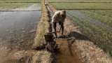 Budget 2019: Piyush Goyal reaches out to farmers with income support scheme - Top details Budget 2019: Piyush Goyal reaches out to farmers with income support scheme - Top details