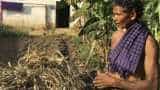 Budget 2019: Government allocates Rs 60,000 crore for MGNREGA