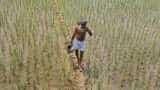 PM Kisan Scheme: Aadhaar optional for 1st installment; compulsory from 2nd onwards PM Kisan Scheme: Aadhaar optional for 1st installment; compulsory from 2nd onwards