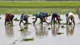 Modi government wants to roll out farmers' income scheme before code of conduct sets in Modi government wants to roll out farmers' income scheme before code of conduct sets in