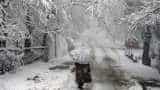 Kashmir industry seeks strict steps to cap airfare surge in winters on Srinagar route Kashmir industry seeks strict steps to cap airfare surge in winters on Srinagar route