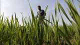 Government plans to launch ease of doing agri-business index
