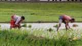Income tax return relief, cash for farmers to boost growth in India: Moody&#039;s