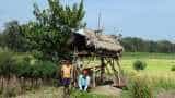Good news! First Modi, and now RBI - Farmers get another big gift after cash support scheme Good news! First Modi, and now RBI - Farmers get another big gift after cash support scheme
