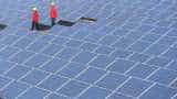 Goa government notifies solar energy policy
