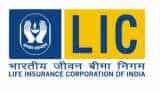 Loan against LIC policy: Get money fast at very low interest rate
