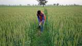 Scheme announced for Haryana farmers, families having income less than Rs 15,000 per month Scheme announced for Haryana farmers, families having income less than Rs 15,000 per month