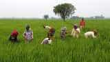 Rajasthan uploads over 1 lakh farmers' applications on PM-KISAN portal