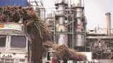 Govt nods up to Rs 10,540 cr soft loan to help sugar mills clear cane arrears