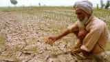 Punjab government approves debt relief plan for farm labourers