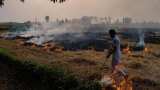 Crop residue burning gobbles up $30 bn annually: Study 