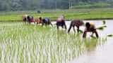Kerala government announces new sops for farmers including moratorium on repayment of loans Kerala government announces new sops for farmers including moratorium on repayment of loans