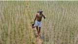 PM Kisan Samman Nidhi Yojana: Farmers alerts! How to register