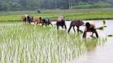 DeHaat: This startup gives agriculture services, financial aid; caters to 52,000 farmers DeHaat: This startup gives agriculture services, financial aid; caters to 52,000 farmers