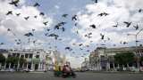 Wow! Delhi in cheapest cities to live in global list; check Chennai and Bengaluru Wow! Delhi in cheapest cities to live in global list; check Chennai and Bengaluru