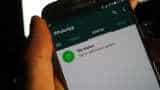 WhatsApp Status: Liked someone&#039;s pic, image, video, text? Here is how to save and download them
