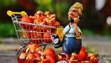 Online food ordering market may grow at over 16 pct, likely to touch $17.02 billion by 2023