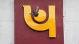 PNB account holders: Know your Debit card cash withdrawal limit, annual charges, validity and other details