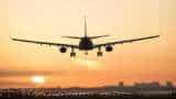 India's February domestic air traffic up 10%: IATA