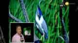 India's first nocturnal zoo earns more than Rs 3 crore annually India's first nocturnal zoo earns more than Rs 3 crore annually