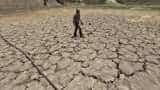 Climate Change can affect food, water security: Expert