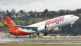 SpiceJet to launch 28 new flights connecting Mumbai, Delhi with other cities SpiceJet to launch 28 new flights connecting Mumbai, Delhi with other cities