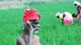How harnessing smartphone technology can help Indian farmers How harnessing smartphone technology can help Indian farmers