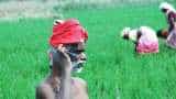 How harnessing smartphone technology can help Indian farmers